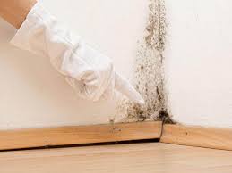 Mold Odor Removal Services in Orwell, OH